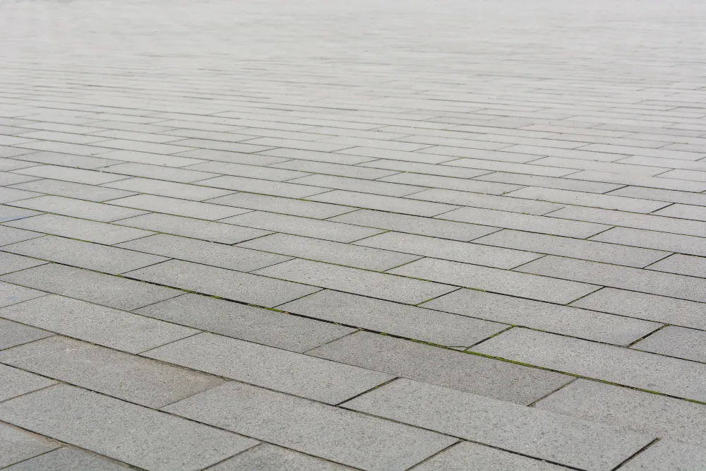 Quais os tipos de paver de concreto para calçadas? 1 paver de concreto para calçadas