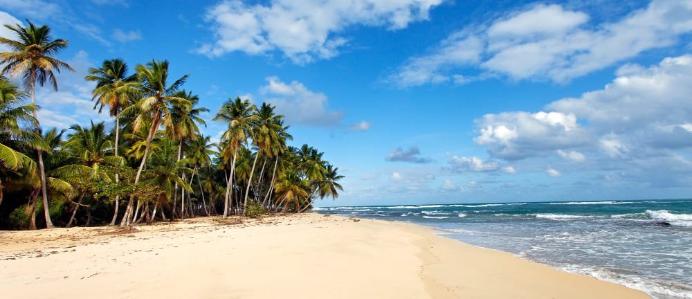 O que fazer de Turismo em Porto de Galinhas? 1 Turismo em Porto de Galinhas